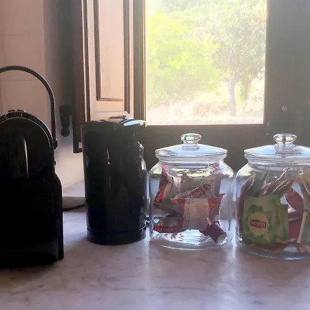 Palamara 1868-toweronthesea